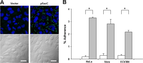 FIG. 6.