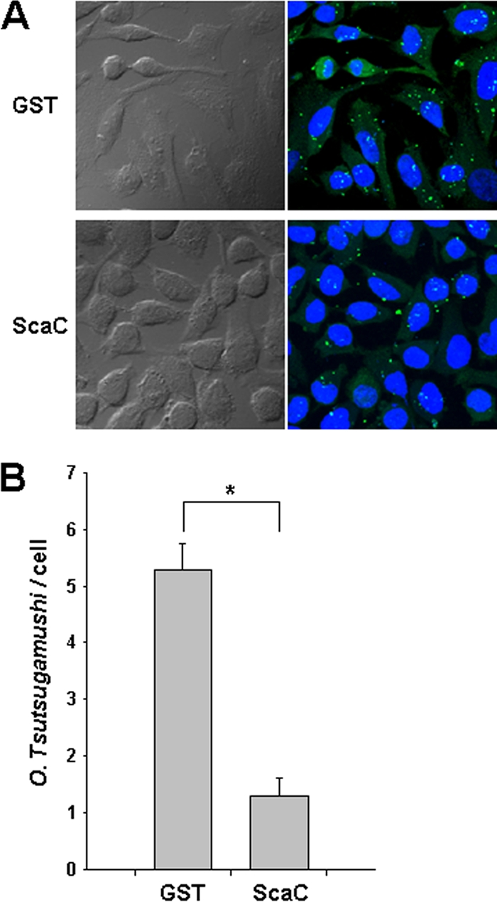 FIG. 7.