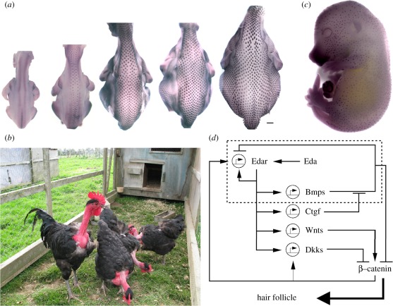 Figure 3.