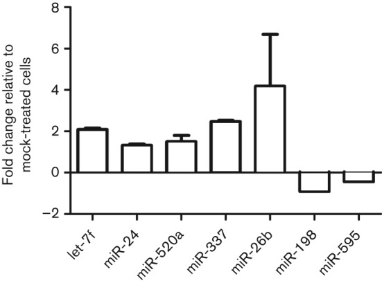 Fig. 1. 