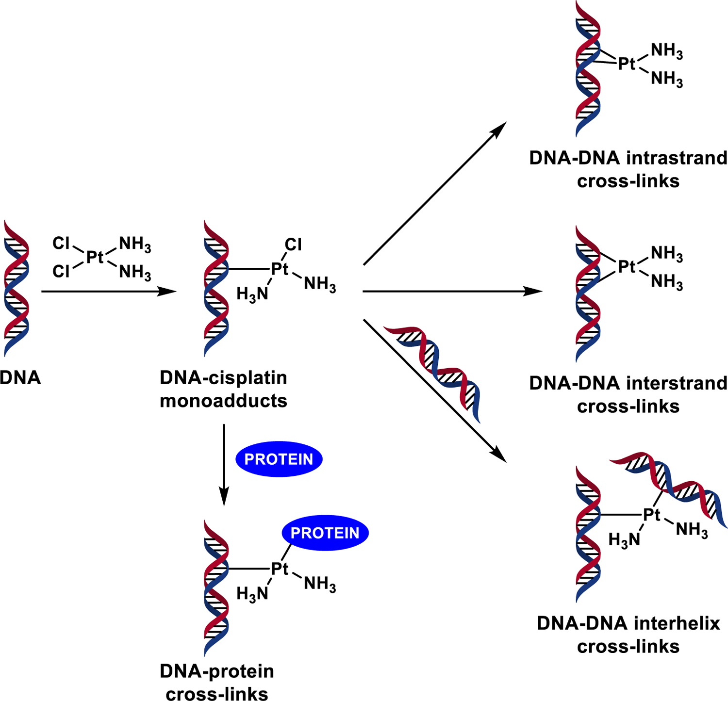 Scheme 1.