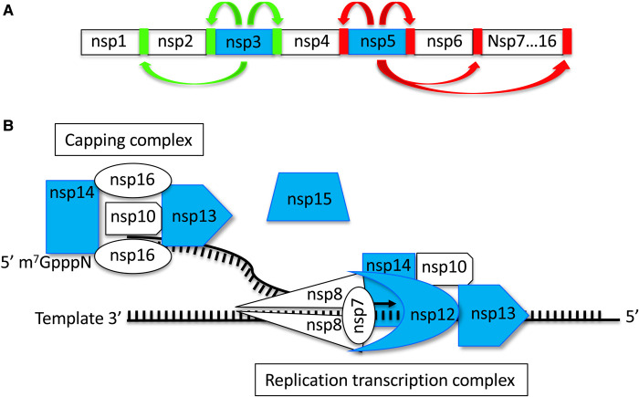 Figure 1.