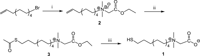 Scheme 1