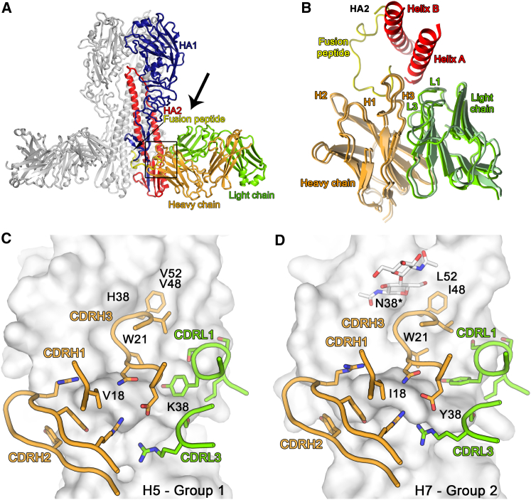 Figure 5