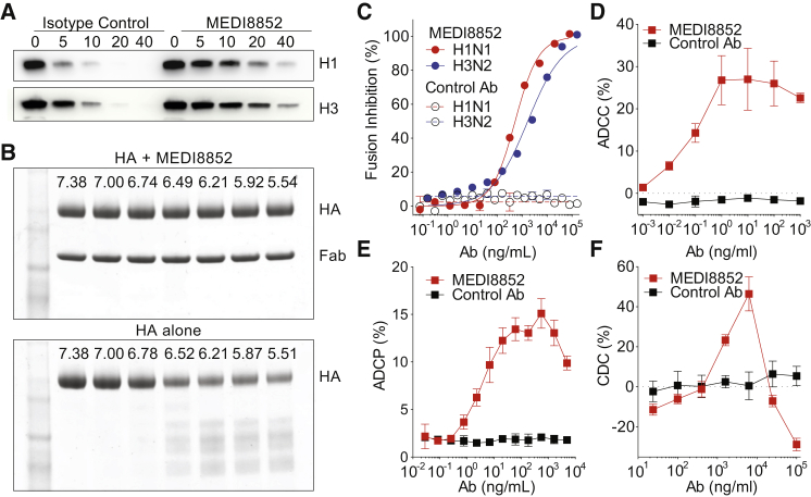 Figure 3