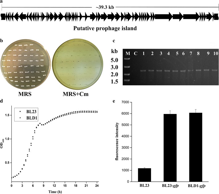 Fig. 2