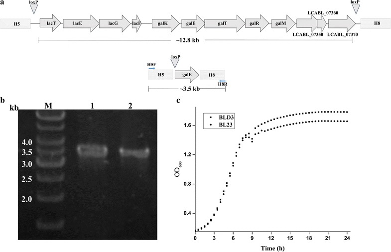 Fig. 3