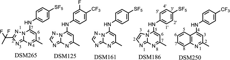 graphic file with name pnas.2213116119unfig01.jpg