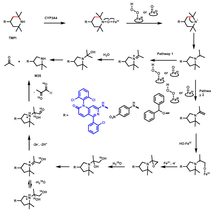 Figure 13