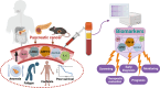 Image, graphical abstract