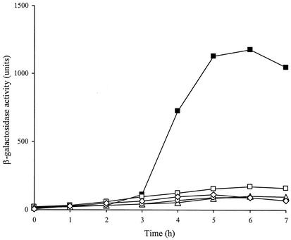 FIG. 1.