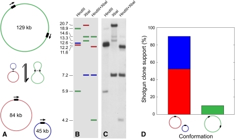 Figure 5.