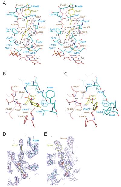 FIGURE 3