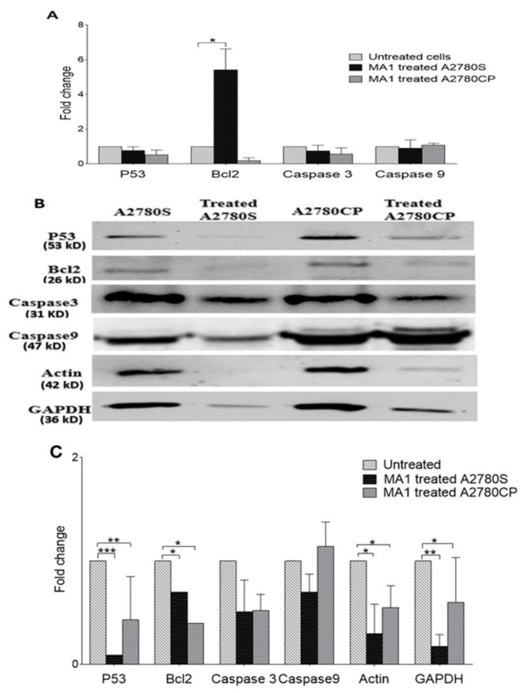 Figure 6