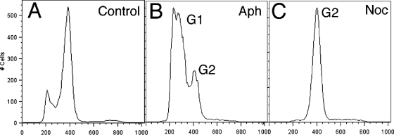 FIG. 1.