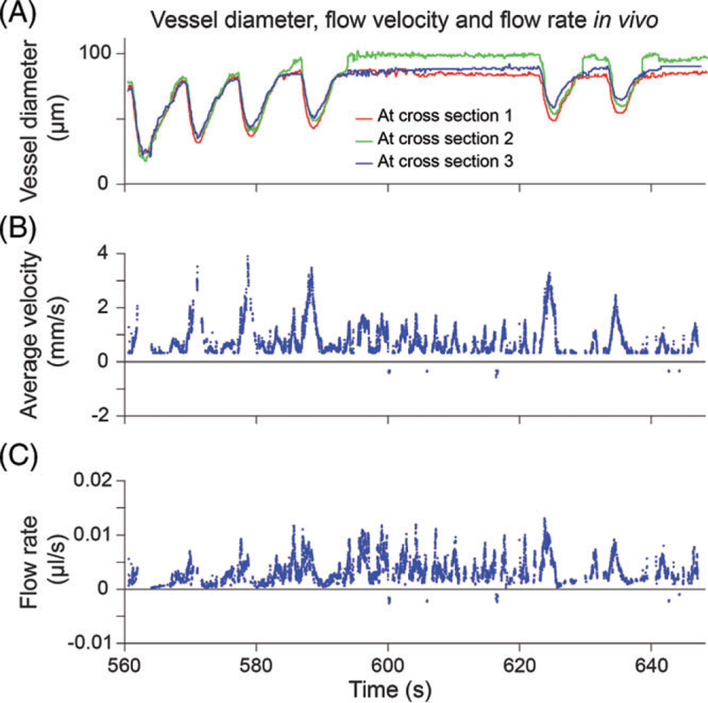 FIGURE 7