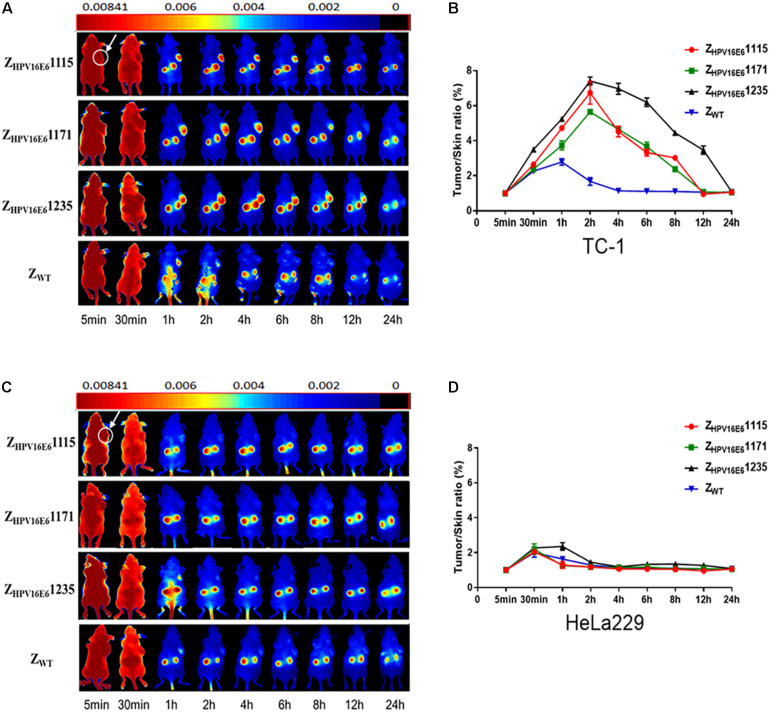 FIGURE 4