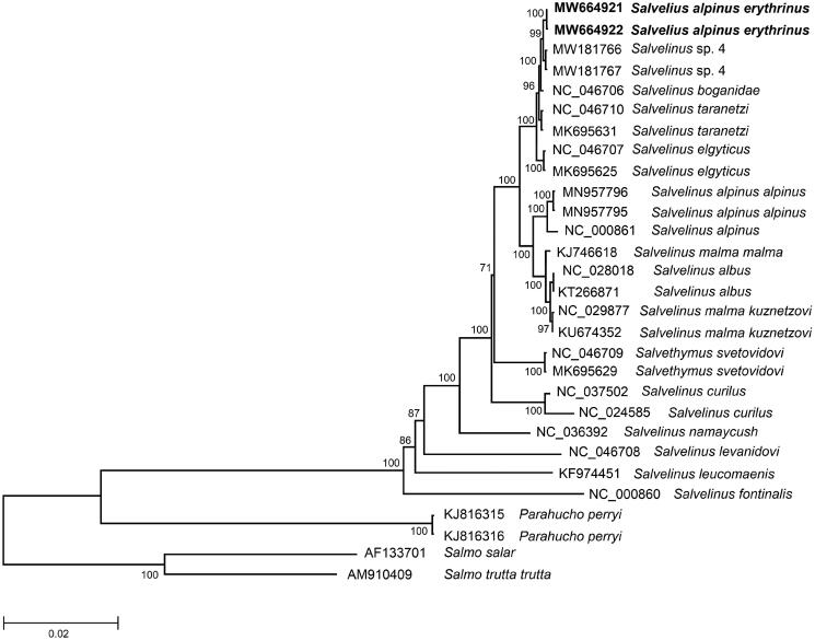 Figure 1.