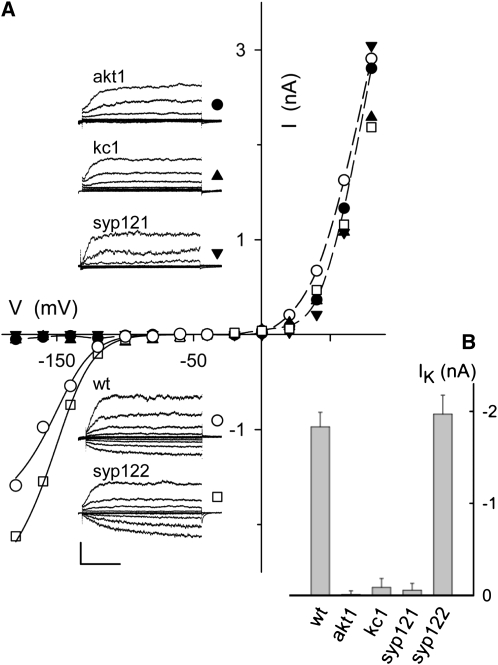 Figure 4.