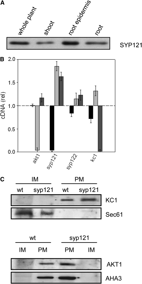 Figure 6.