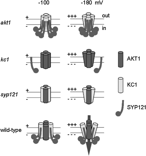 Figure 10.