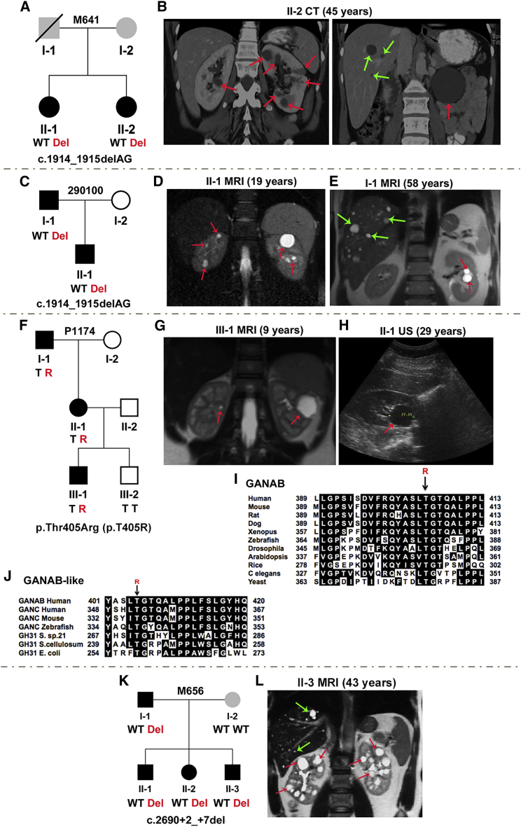 Figure 2