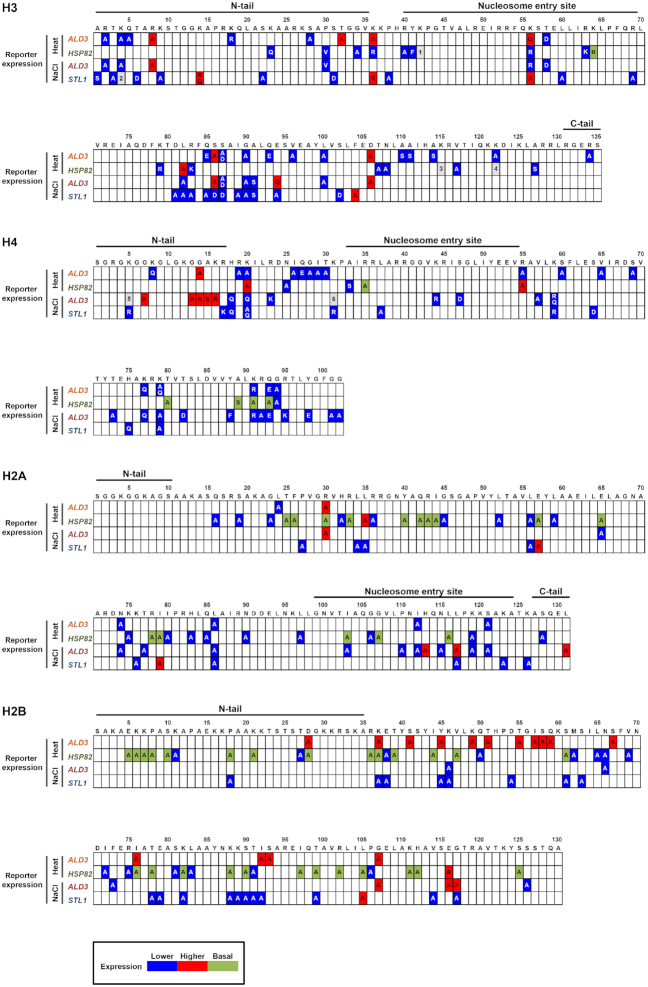 Figure 2.