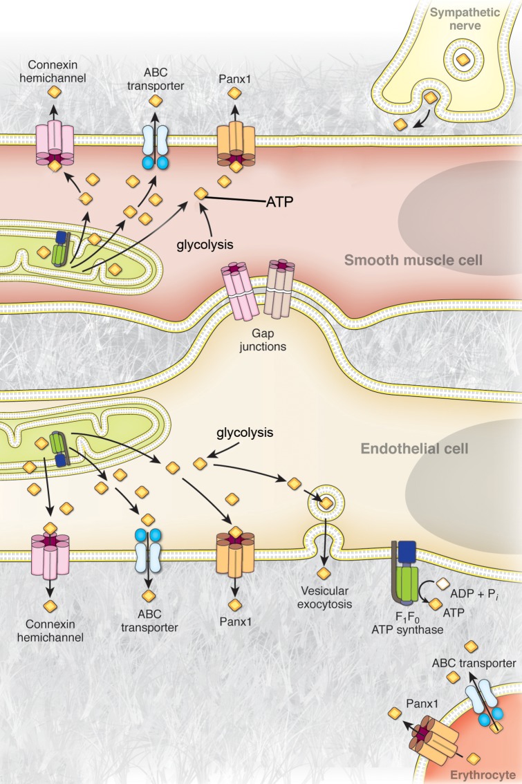 Figure 1