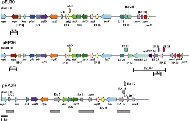 Fig. 3