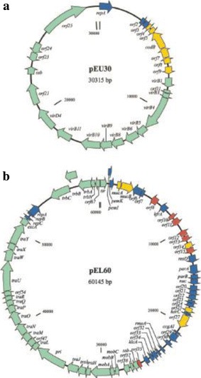 Fig. 2