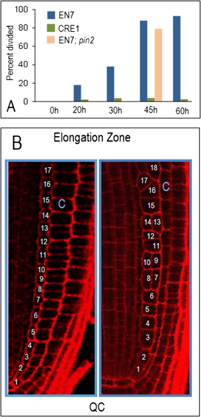 Fig. S1.