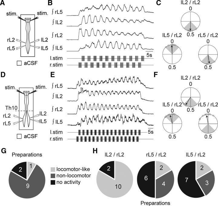 Figure 11.