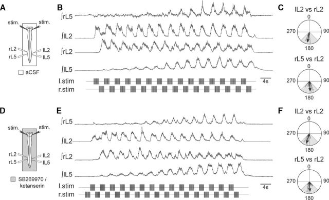 Figure 9.