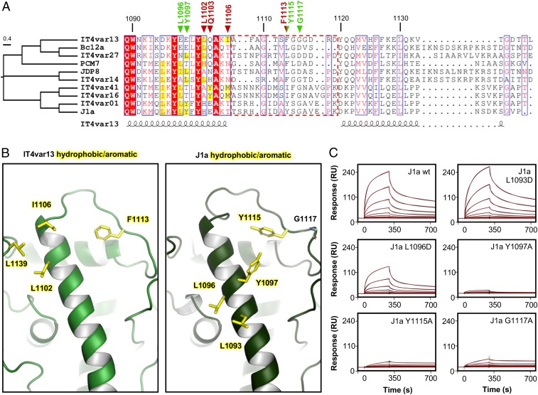 Fig. 4.