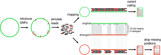 Figure 1: