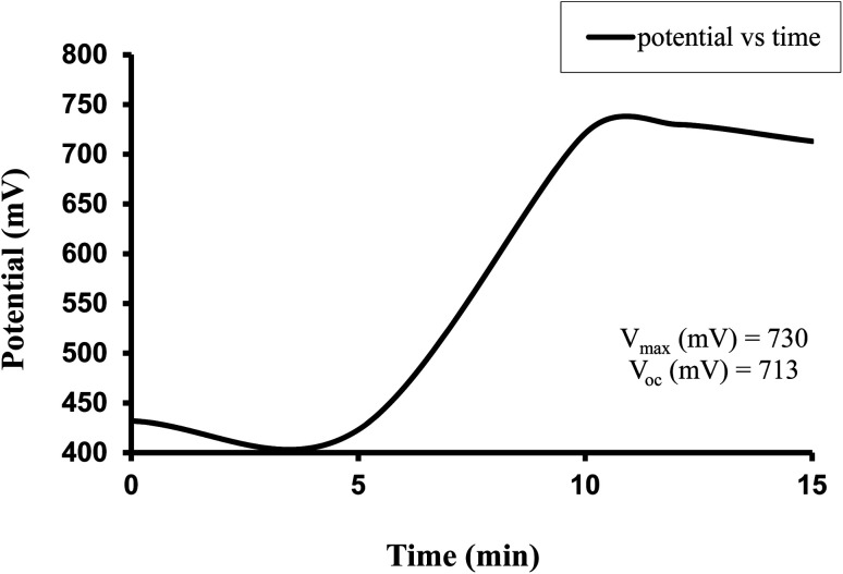 Fig. 3