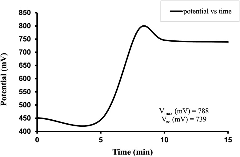 Fig. 7