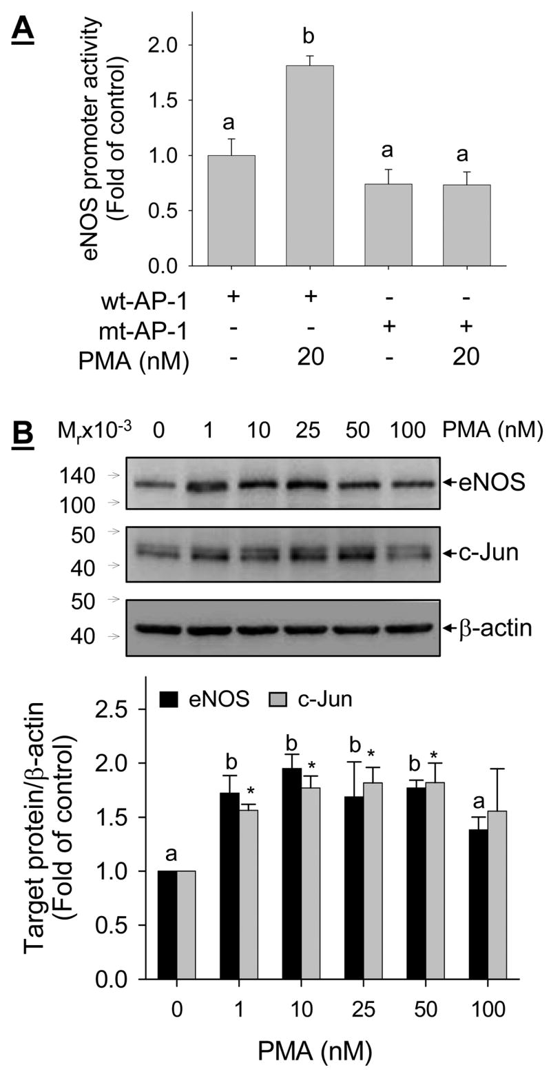 Fig. 11