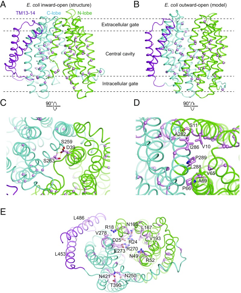 Fig. 3.