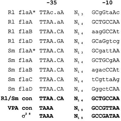 FIG. 6