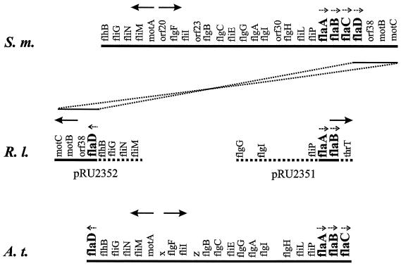 FIG. 1