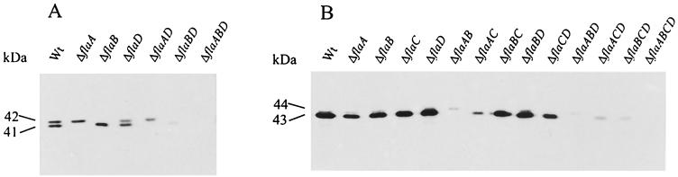 FIG. 5