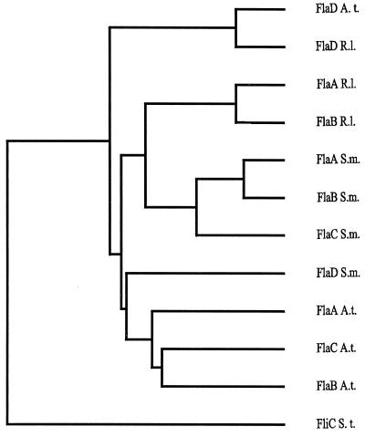 FIG. 3