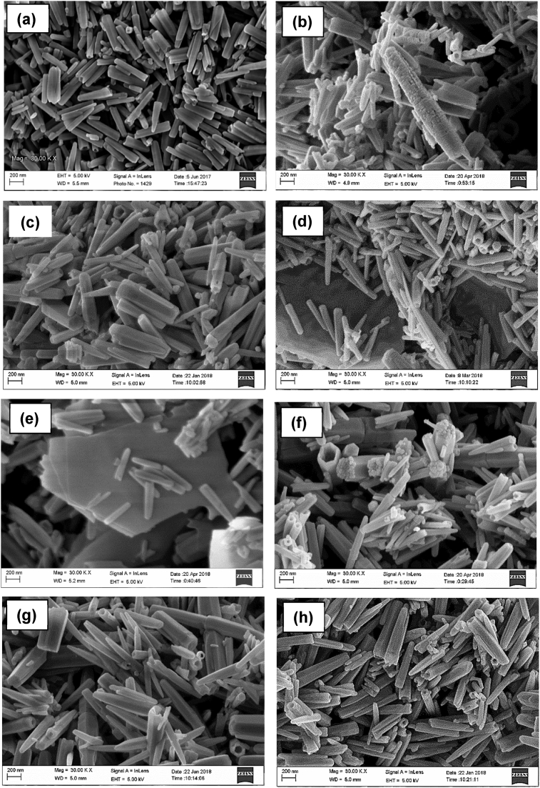 Fig. 10