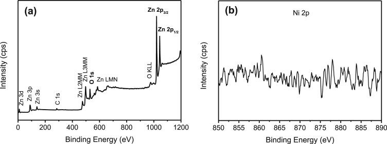 Fig. 9