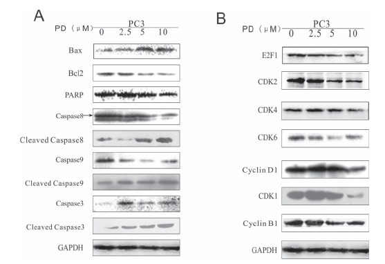 Fig. (5)