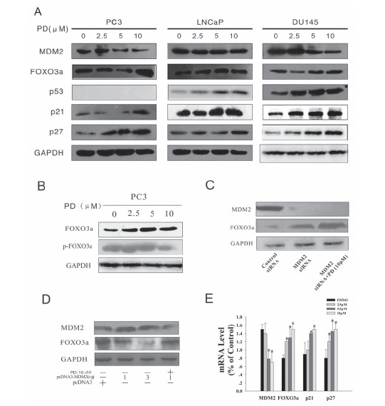 Fig. (4)