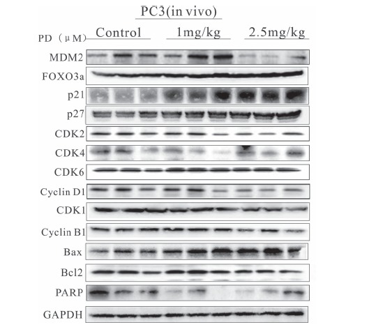 Fig. (7)