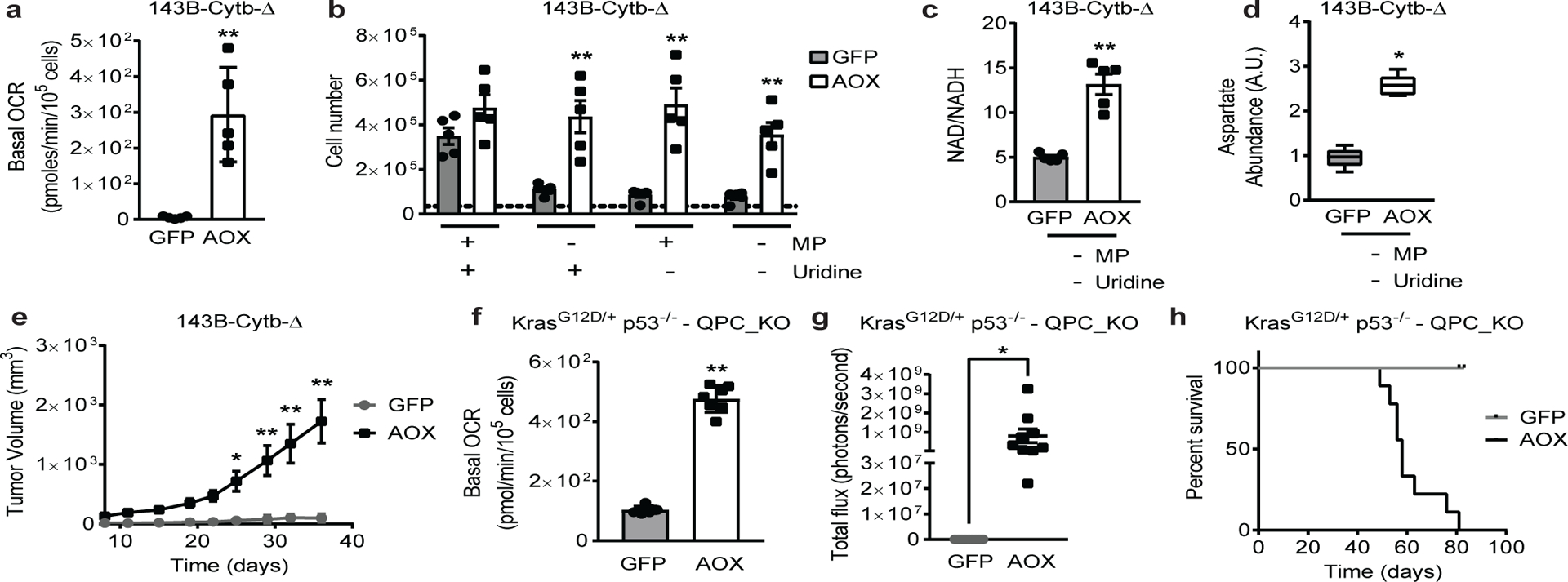 Figure 2: