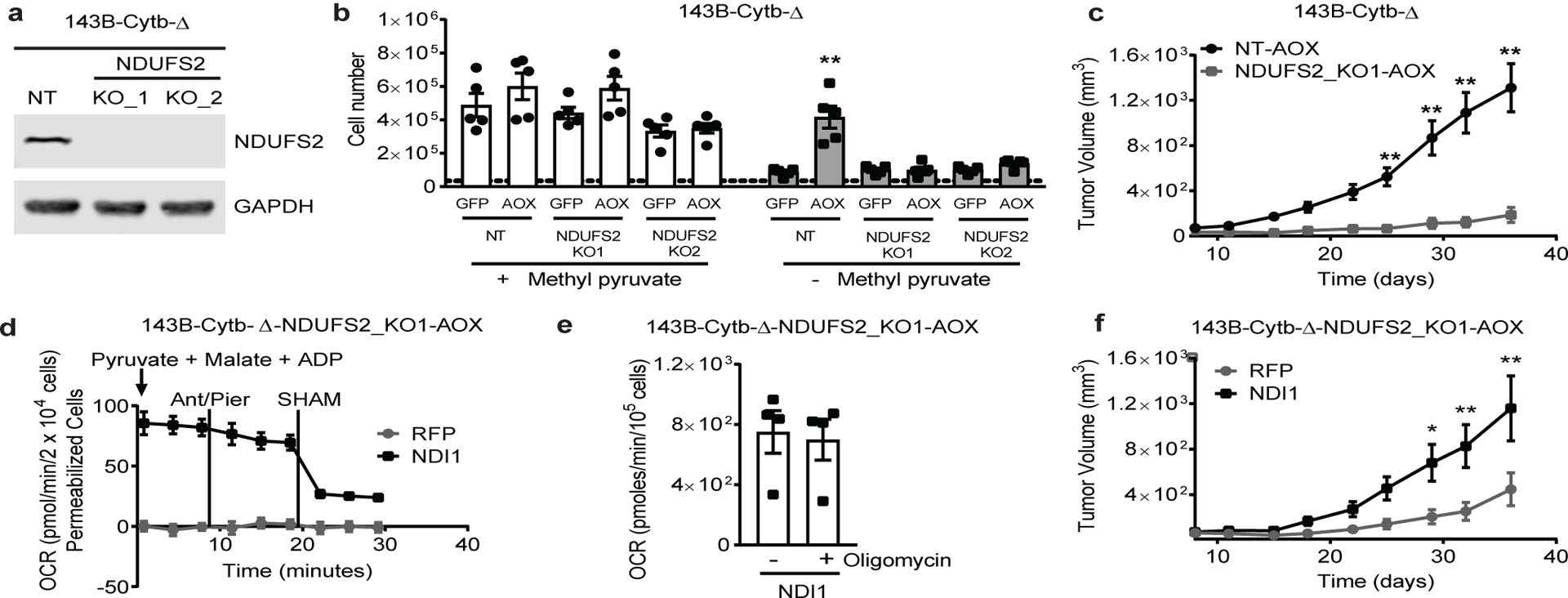 Figure 3: